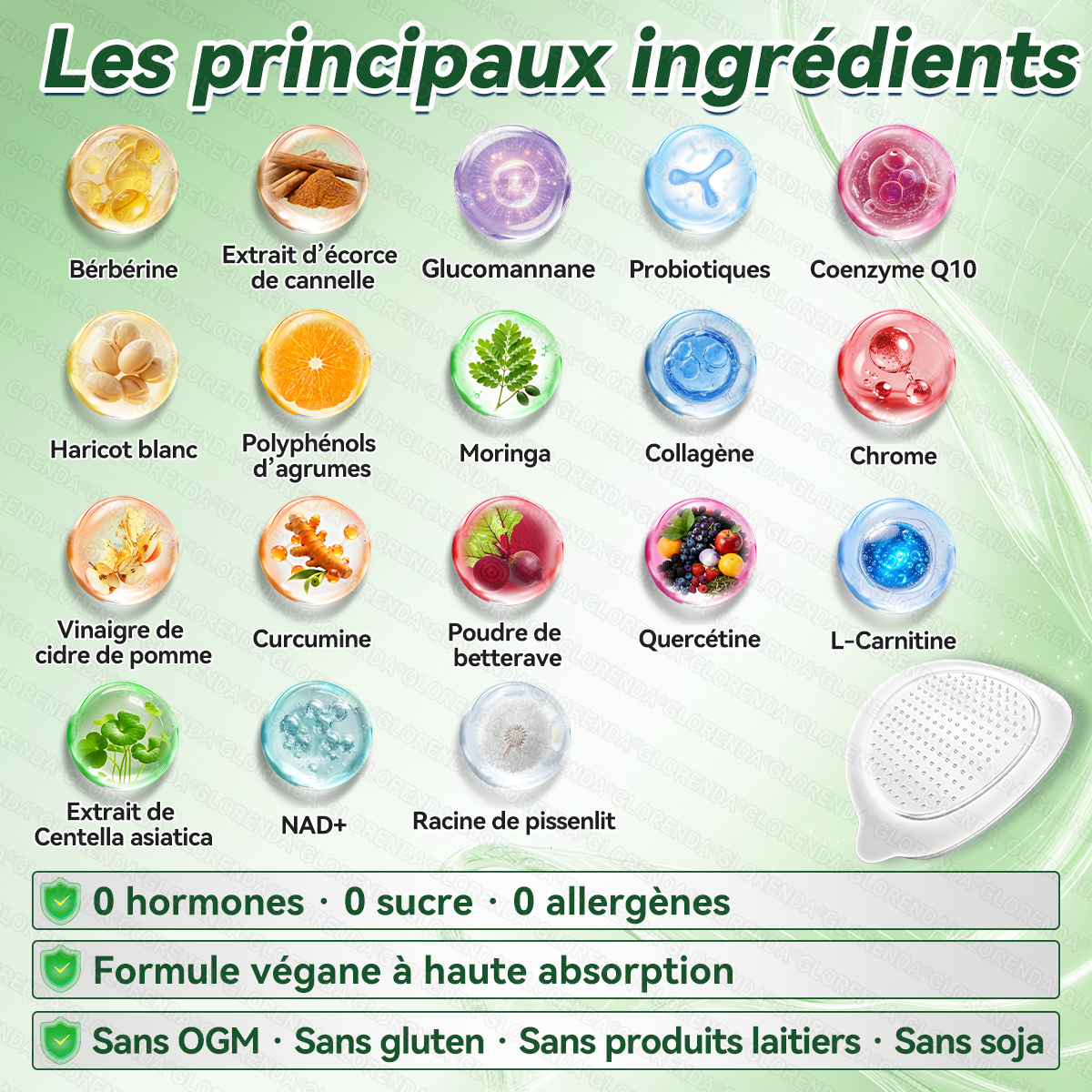𝐆𝐋𝗢𝗥𝗘𝗡𝗗𝑨®⏳ Plus que 8 paquets ! 🔥 –30 % · Programme recommandé : 4–6 paquets · Stock limité · Prochain réassort l’an prochain 👉 Dépêchez-vous !